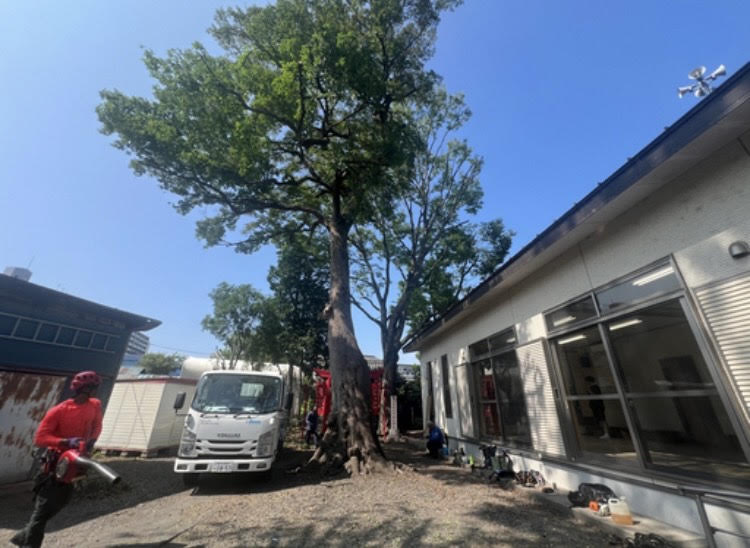 美しい造園の様子